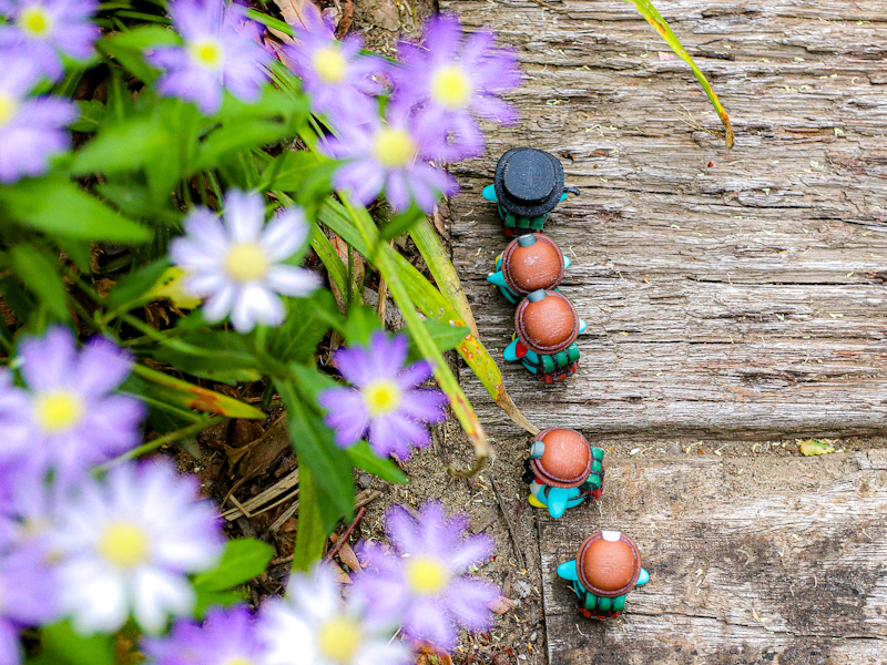 花とぺっこり探検隊