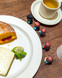 シグネコーヒーさんを探検するぺっこり探検隊