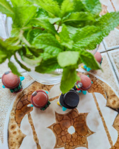 シマダカフェさんのプレミアムモヒートとぺっこり探検隊