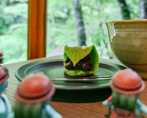 かふぇ楊梅亭さんの抹茶と季節の主菓子を狙うぺっこり探検隊
