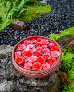 鎌倉の一条恵観山荘さんの花手水