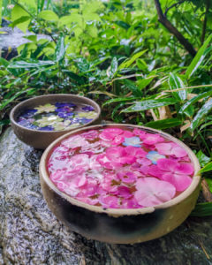 鎌倉の一条恵観山荘さんの花手水