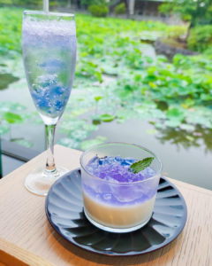 鎌倉のカフェ、風の杜さんの紫陽花ゼリーと紫陽花ソーダ
