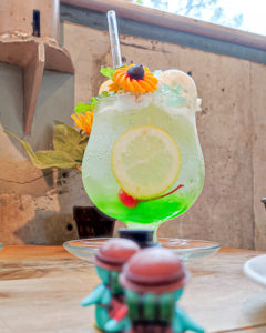 サンデーブランチ下北沢店さんの向日葵クリームソーダを狙うぺっこり探検隊